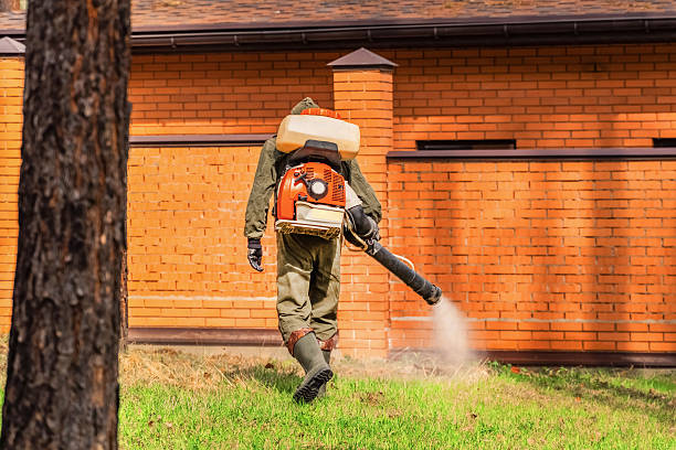 Top rated local Cockroach Control specialists in Louisa, VA